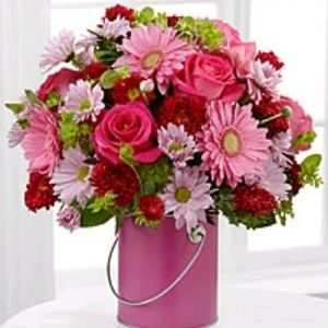 Meet your Posher, Dana